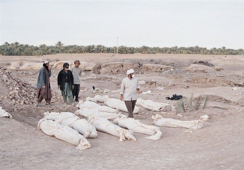 بم؛ شهری که از بلندای نخلهای سخاوتمند و خشتهای ارگ شکوهمند آن، امید و زندگی میتراود