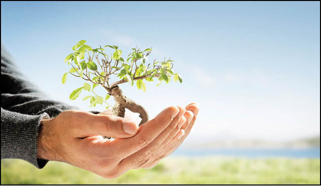 ضرورتِ همافزایی منزل، مسجد، مدرسه برای حیات طیبه