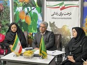  استان سمنان میزبان پنجمین نمایشگاه تخصصی کشاورزی می‌شود