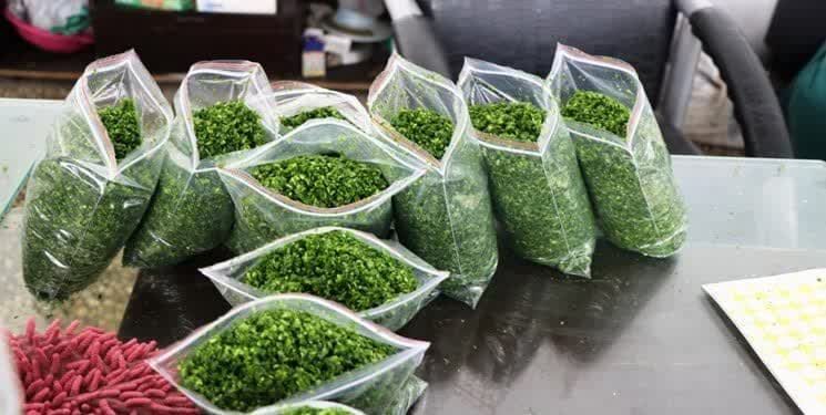 اشتغالزایی بچههای مسجد برای جوانان کاشمری