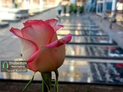 زائران پارسال، شهدای امسال