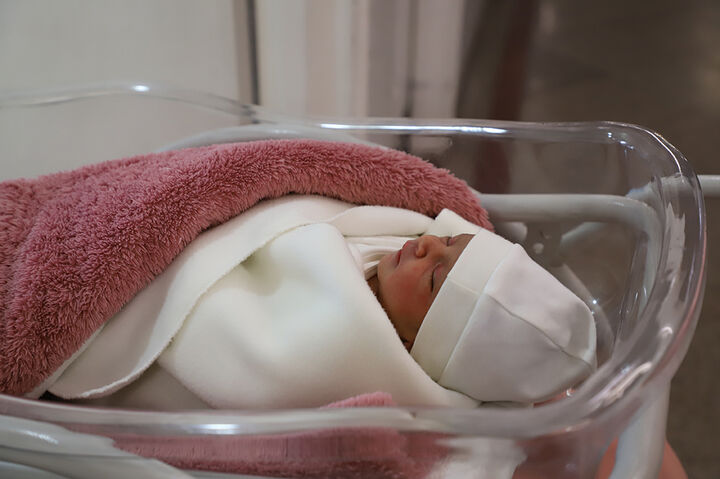 «علی» پرطرفدارترین نام برای پسران در خراسان رضوی