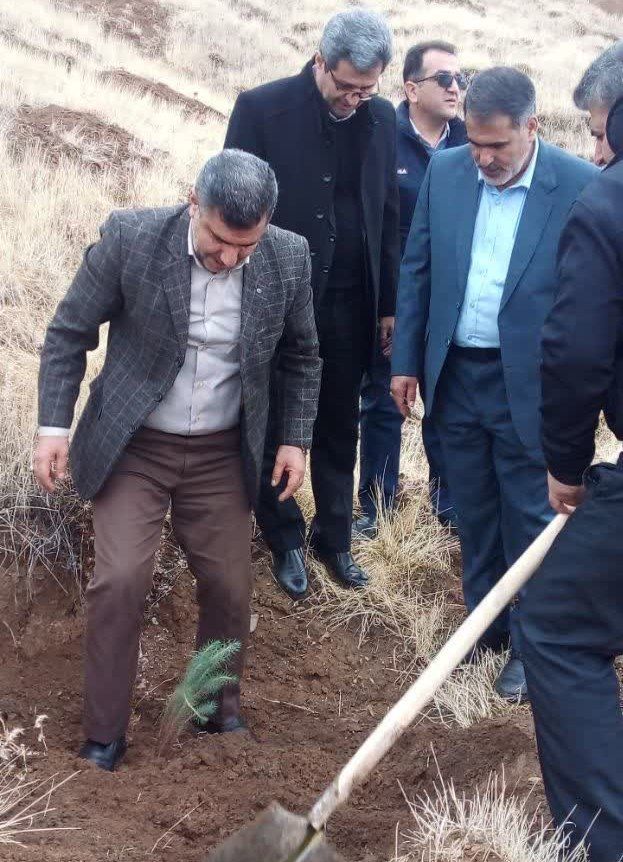 درختها با نام پدران و به نفع آینده فرزندان به خاک امانت داده شد