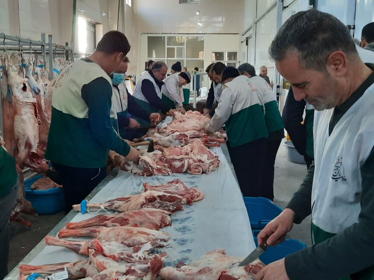 اجرای پویش عقیقه بهمناسبت سالروز ولادت امام علی(ع) در کرمانشاه