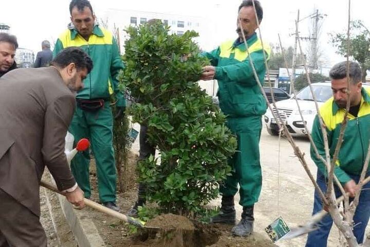 کاشت نهال به یاد پدران آسمانی