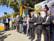 پنجمین جشنواره ملی مرکبات جنوب کرمان برگزار شد