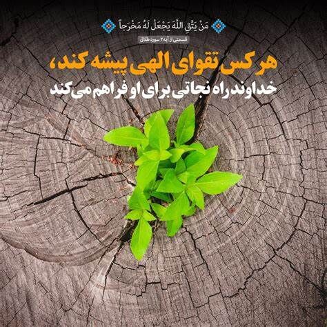 سرمایهای که هیچگاه بیارزش نمیشود