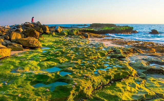 بهره‌برداری از ۹ پروژه گردشگری هرمزگان در دهه فجر