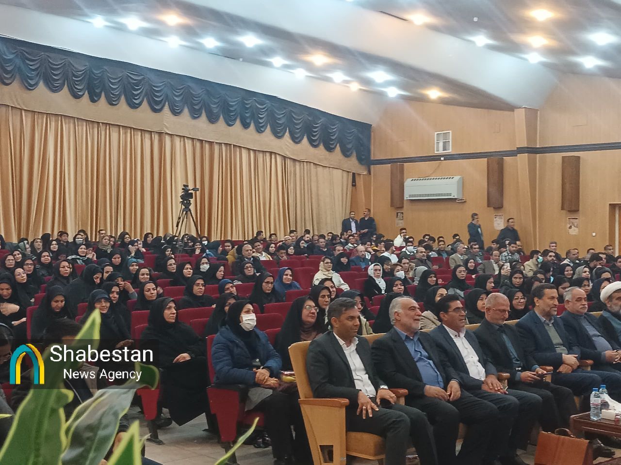 سرو| ابراز ارادتی شاعرانه از هندوستان تا کرمان