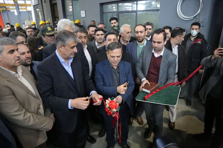 استان زنجان از ظرفیت لازم برای جذب سرمایه گذار خارجی برخوردار است