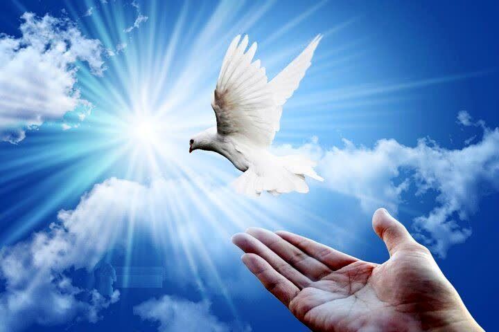 آزادی ۱۶ زندانی ایلامی جرائم مالی به مناسبت دهه فجر