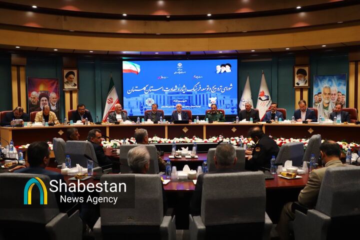 بازنگری قوانین مرتبط با ایثارگران تا پایان سال نهایی می شود