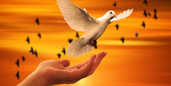 آزادی ۲۶ زندانی ایلامی در دهه فجر