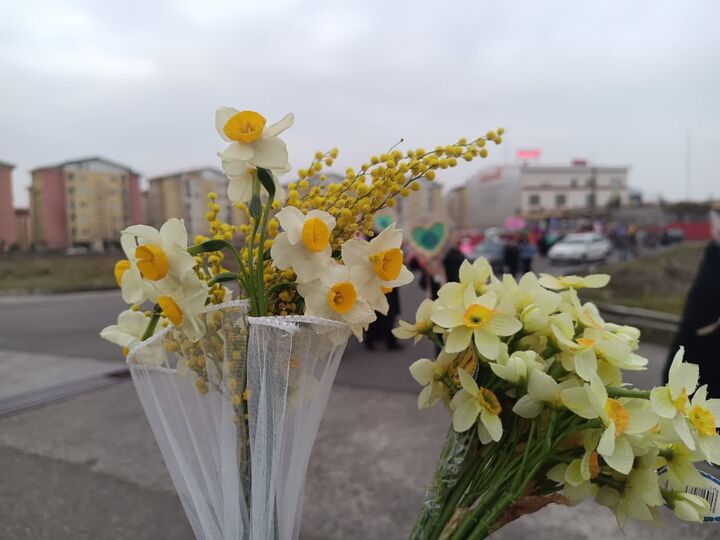 برپایی کاروان شادی پرچمداران گل نرگس در رشت