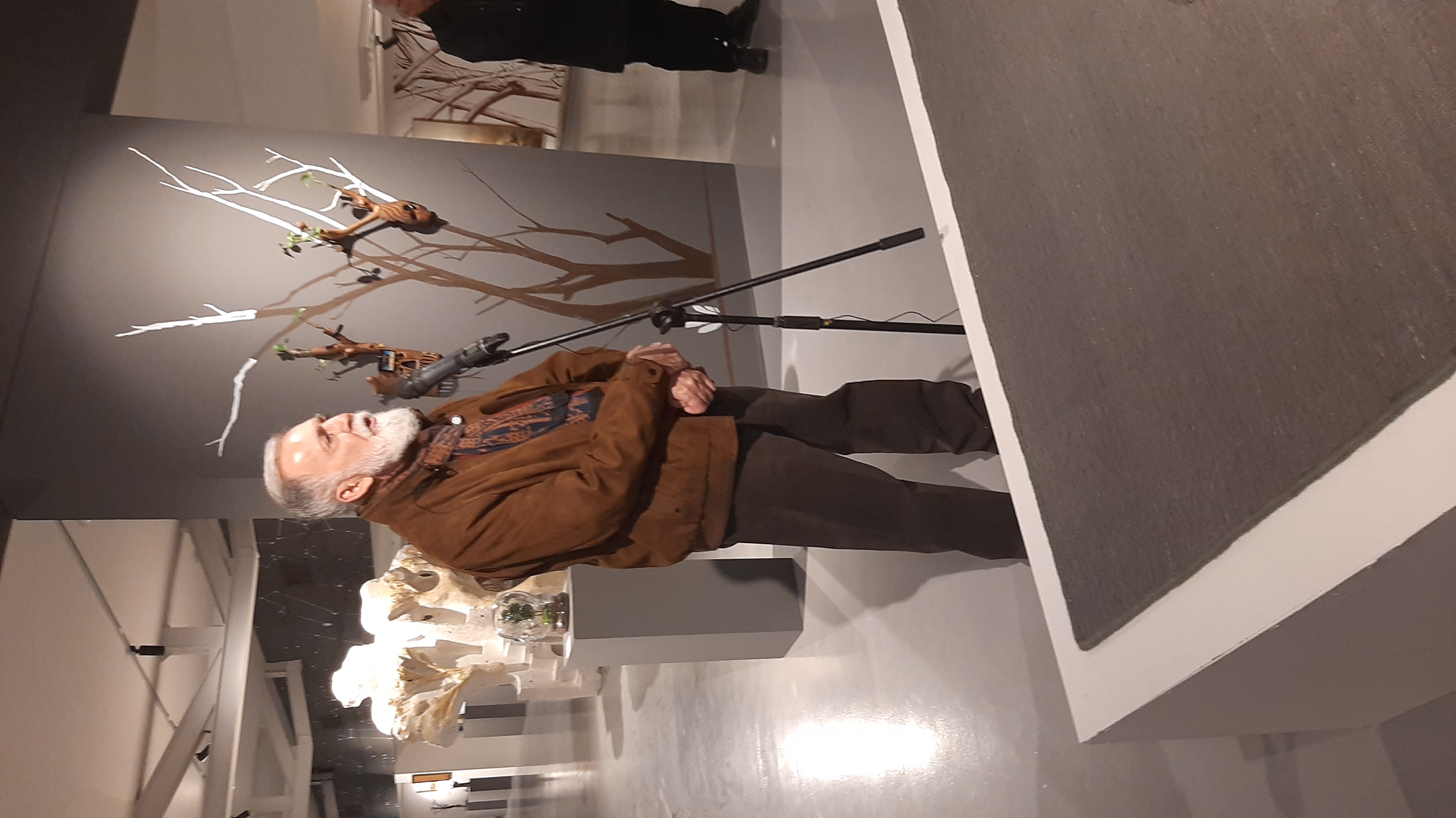 آثار "درخت زرین" جشنواره هنرهای تجسمی فجر دیدنی شدند