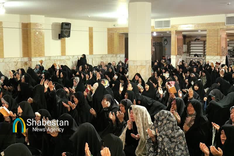 تجلی شور و شوق عاشقان مهدی در نصف جهان