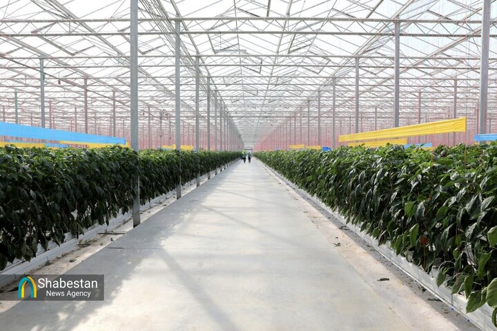 بهره‌برداری از ۲۸ گلخانه‌ در هیرمند