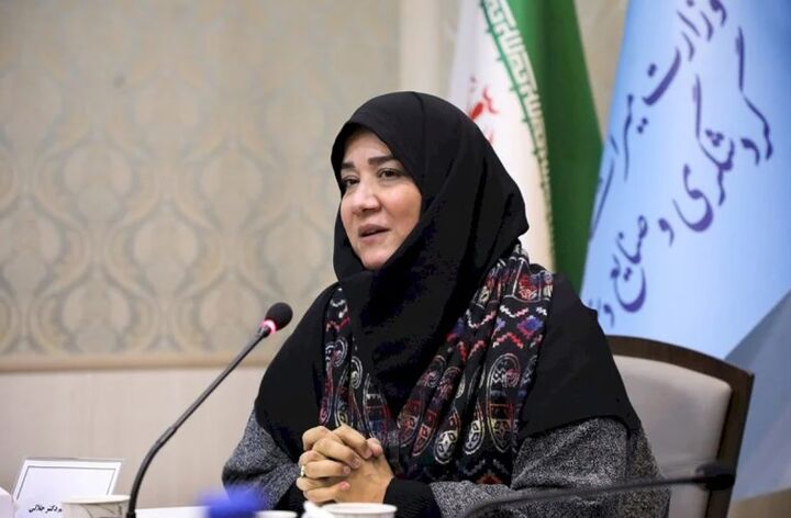 تشکیل بانک جامع هنرمندان صنایع دستی با ۷۵۰۰ عضو