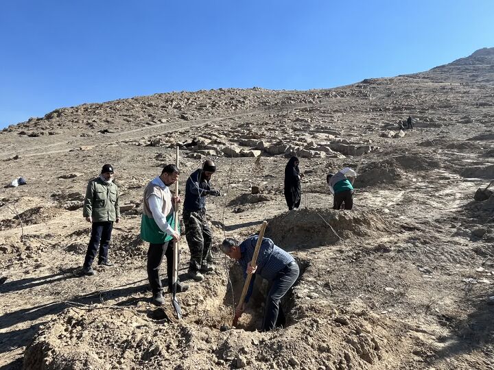 همایش «هر خانواده، یک نهال» در دره گردشگری نورالشهدا (گردو) برگزار شد
