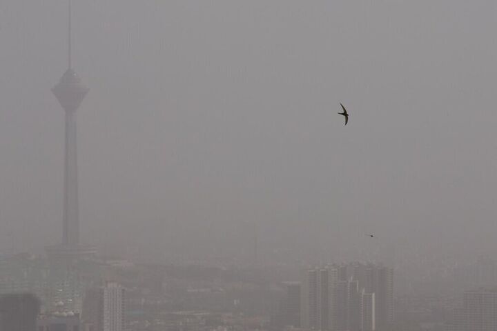 هوای تهران ناسالم شد