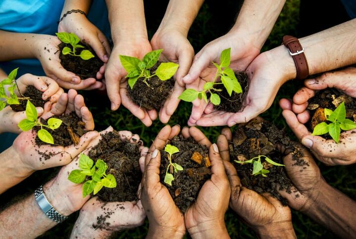 برنامه‌های هفته درختکاری در شهر کرمانشاه اعلام شد