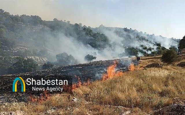 فرهنگ دوستی با طبیعت مستلزم درختکاری و درختداری