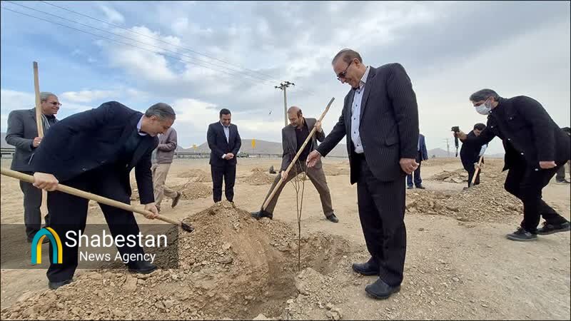 فرهنگ دوستی با طبیعت مستلزم درختکاری و درختداری