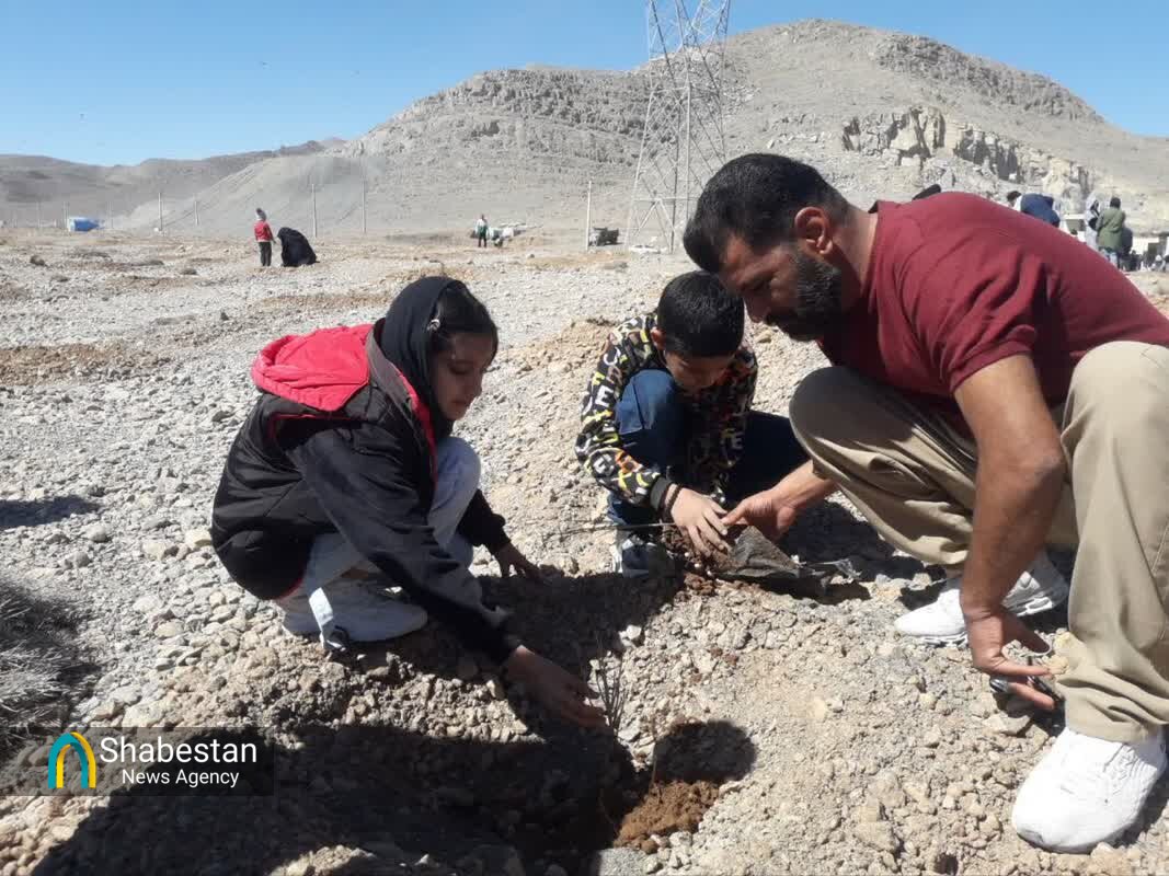 فرهنگ دوستی با طبیعت مستلزم درختکاری و درختداری