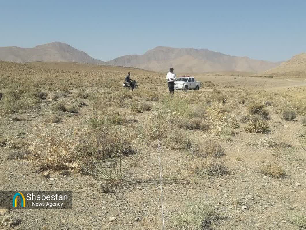 فرهنگ دوستی با طبیعت مستلزم درختکاری و درختداری