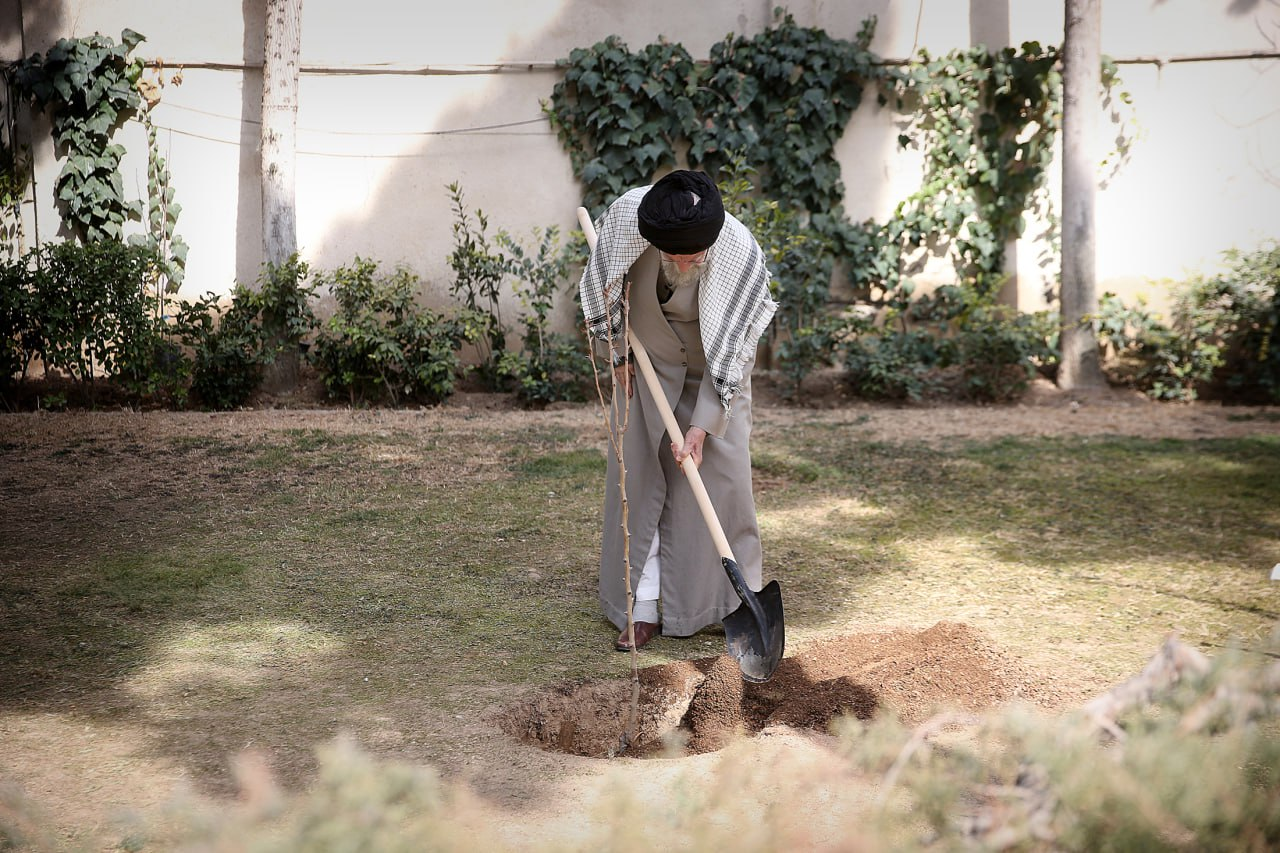 رهبر معظم انقلاب همزمان با روز درختکاری سه اصله نهال کاشتند