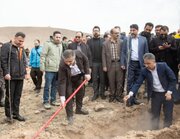 ۶ هزار اصله نهال در شهر جدید امیرکبیر غرس شد