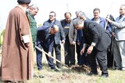 کاشت بیش از ۵ هزار اصله نهال در گیلان