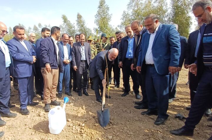 کاشت ۱۰۶ میلیون اصله نهال با شعار وفاق و همدلی در خوزستان آغاز شد