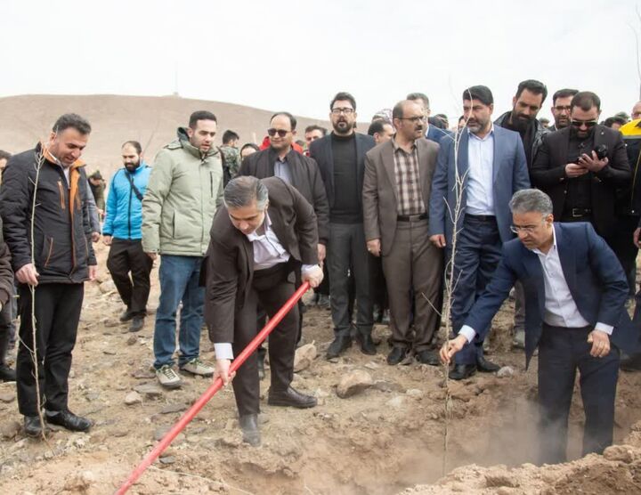 ۶ هزار اصله نهال در شهر جدید امیرکبیر غرس شد