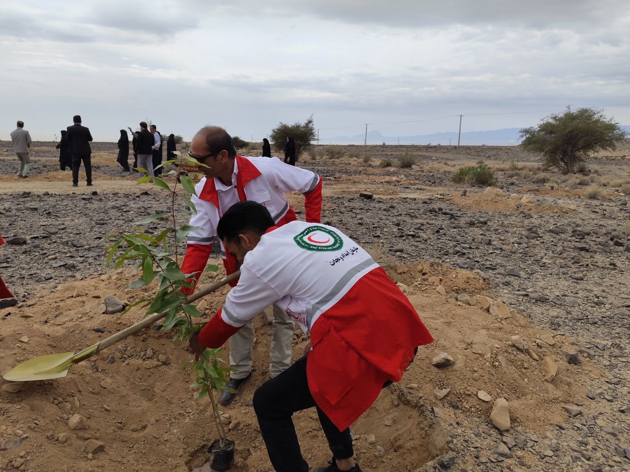 آغاز پویش درختکاری «جان ایران» در جنوب کرمان