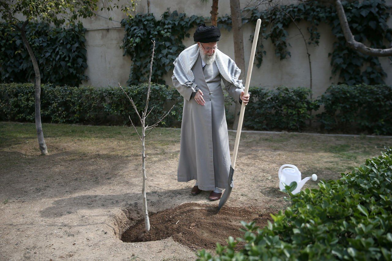 رهبر معظم انقلاب همزمان با روز درختکاری سه اصله نهال کاشتند