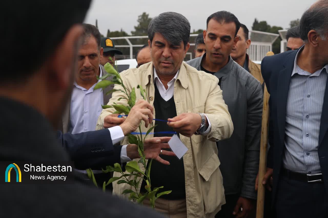 اقلیم خشک کرمان؛ ضرورتی برای درختکاری و همدلی جهت آیندهای سبز