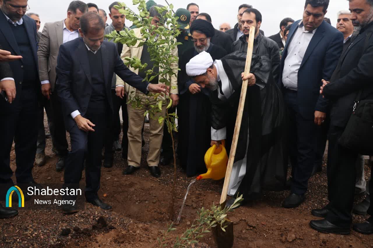 اقلیم خشک کرمان؛ ضرورتی برای درختکاری و همدلی جهت آیندهای سبز