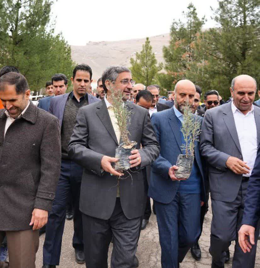 کاشت و نگهداری درختان در توسعه منابع طبیعی نقشآفرین است