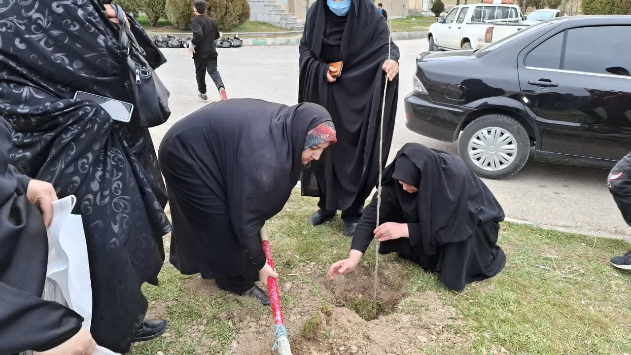 بانوان مسجدی با کاشت درخت مسئولیت خود را نسبت به حفظ محیط زیست نشان دادند