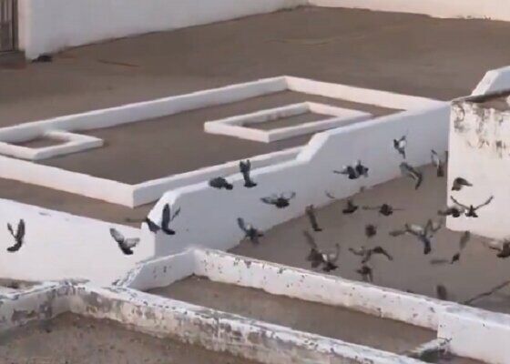 حاج حبیبالله اعتمادی؛ احیاگر نام و راه حضرت خدیجه (سلام الله علیها) با اقدامات ماندگار در رفسنجان