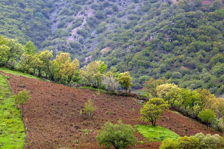 آغاز اقدامات ویژه نوروز برای حفاظت از منابع طبیعی از ۲۸ اسفند