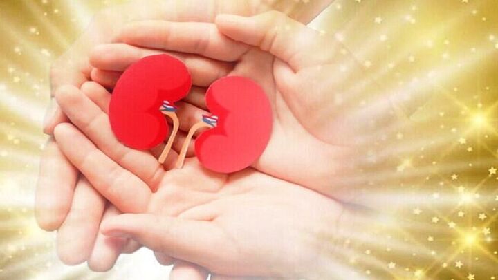 ایثار در اوج وداع| اهدای عضو در روزهای پایان سال