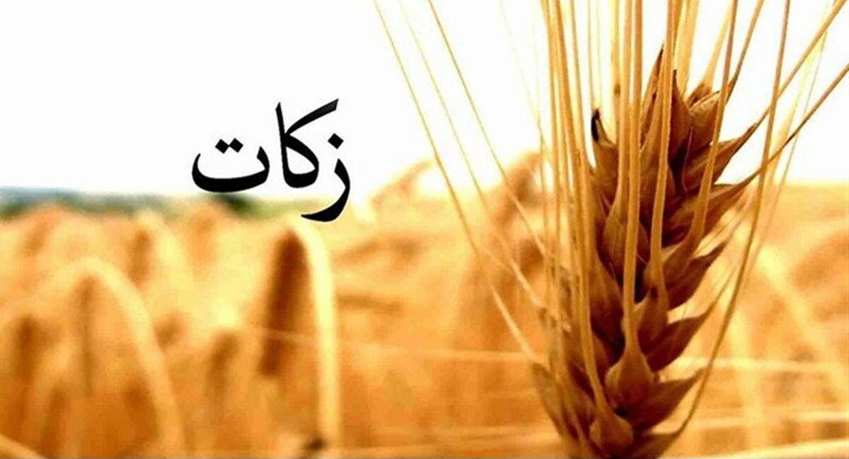 جهش ۴۵ درصدی جمع‌آوری زکات؛ ثمره اعتماد و آگاهی