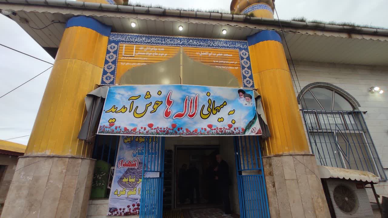 همیشه نفوذیها، سیاسی نیستند