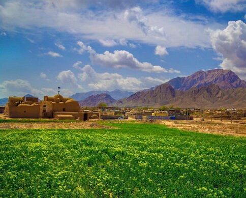 مساجد تاریخی خراسان جنوبی؛ گنجینههای معنوی و هنری سرزمین خورشید