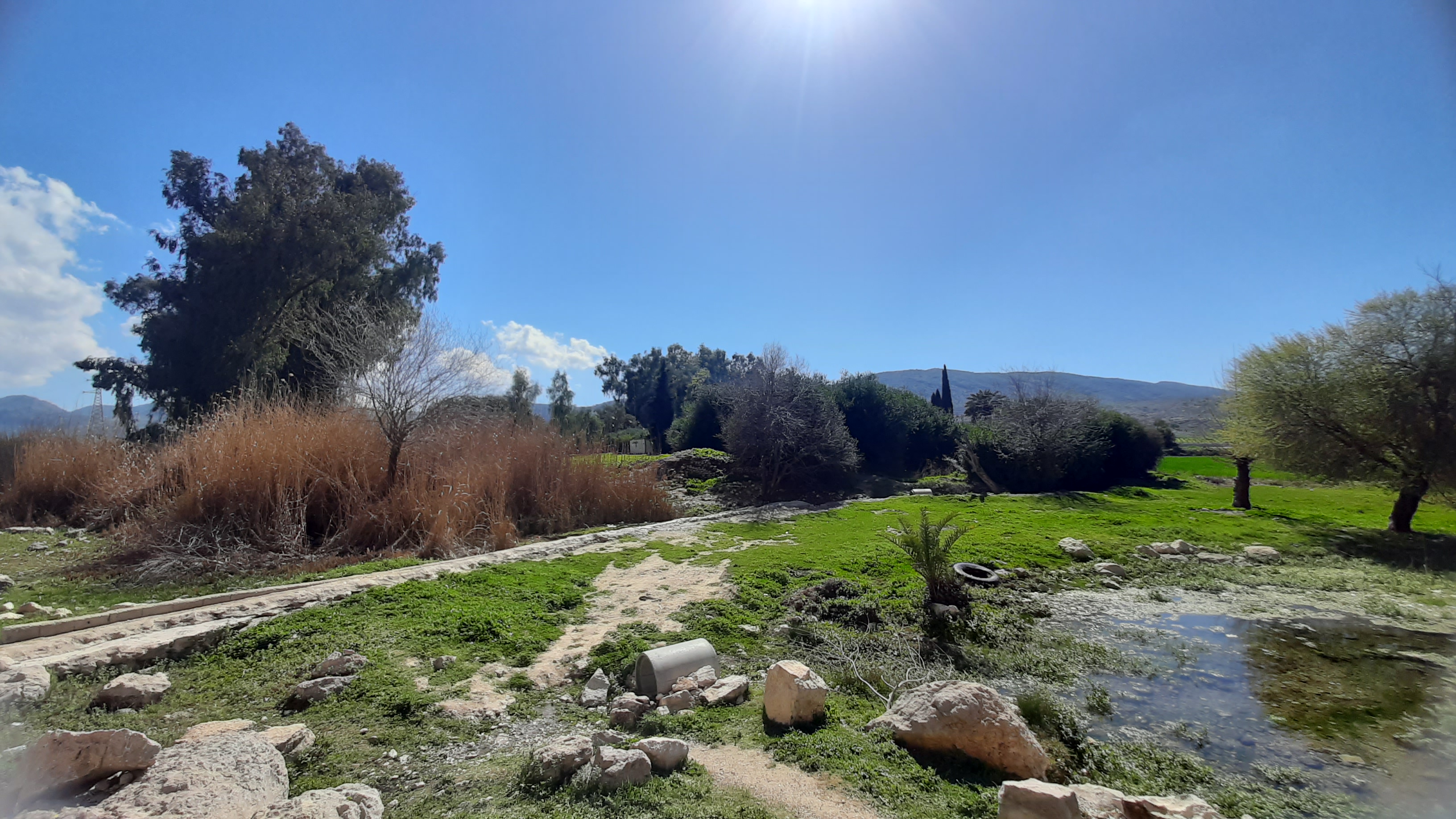 نقش برجسته سرآب بهرام؛ سند سنگی تاریخی از دوران ساسانی در غرب فارس