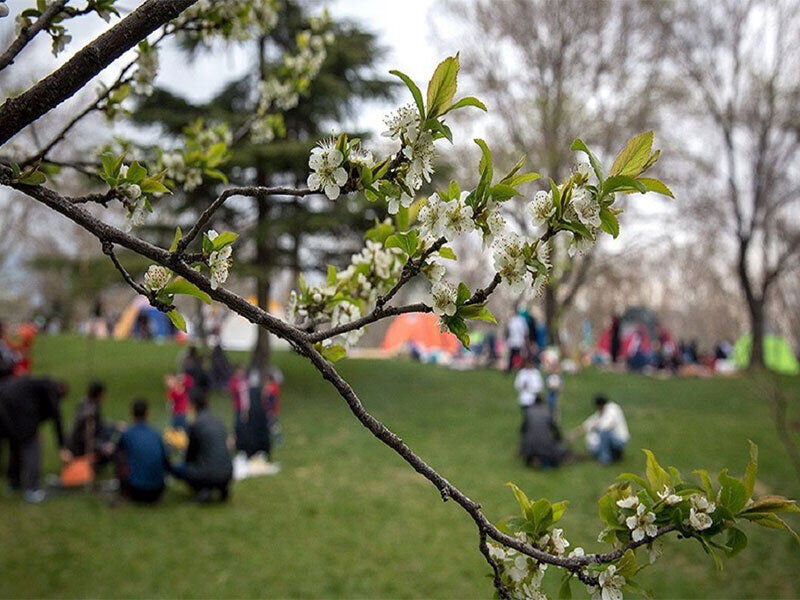طبیعت‌گردی از نگاه نهج‌البلاغه؛ سیزده‌بدر با تأمل در آیات خلقت