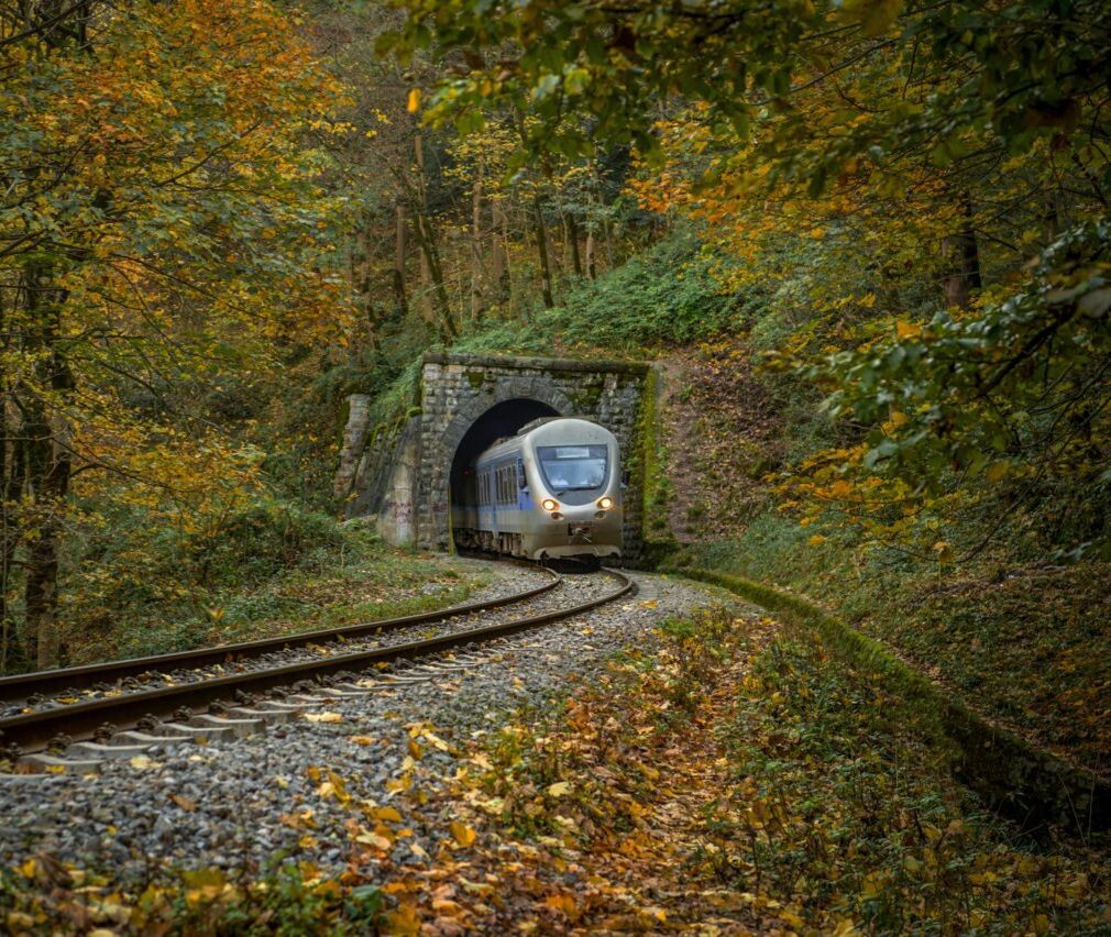 سیزده بدر، جشن طبیعت و یادگاری از باستان با تاملی در خلقت