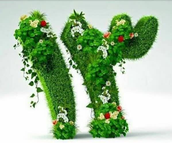 آرزوهای سبز؛ گرهخورده به مفاهیم والا، یاد شهدا و ظهور مولا